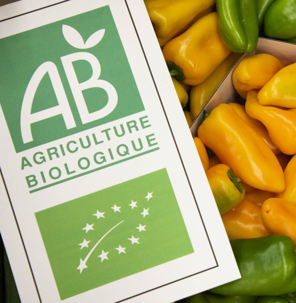 Utopylogie étal de poivrons jaunes et verts avec une pancarte du label Agriculture biologique et de l'Eurofeuille